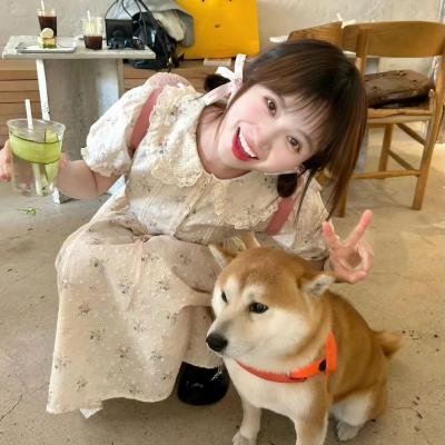 爱情流弹