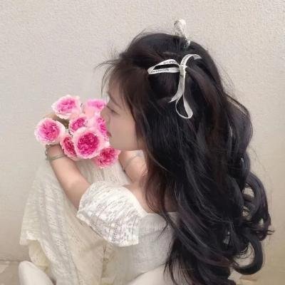恐龙之子